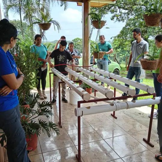 Productores revisando módulos hidropónicos de tubo PVC